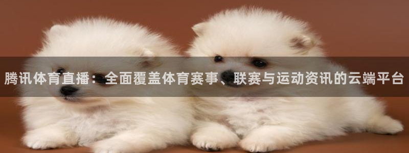腾讯体育直播：全面覆盖体育赛事、联赛与运动资讯的云端平台